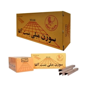 سوزن منگنه